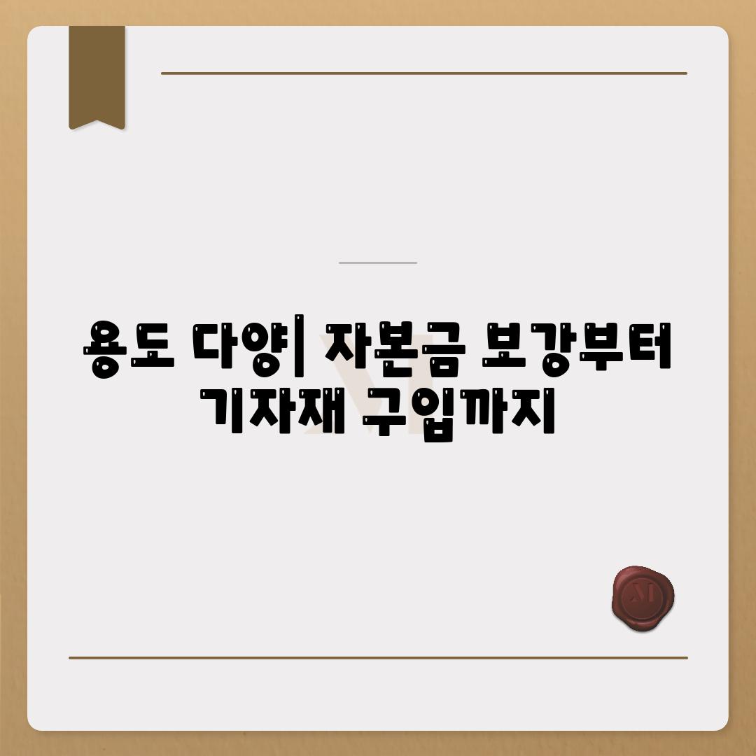 용도 다양| 자본금 보강부터 기자재 구입까지