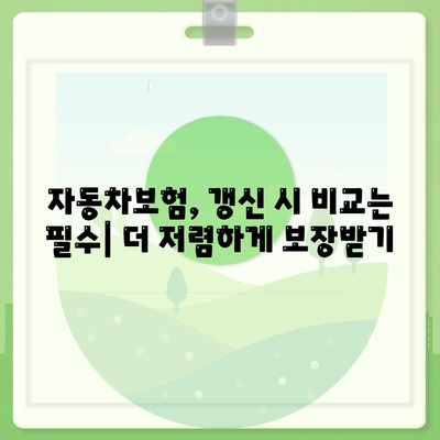 자동차보험 비교