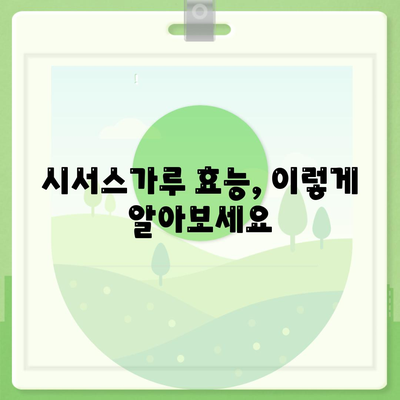 시서스가루 효능