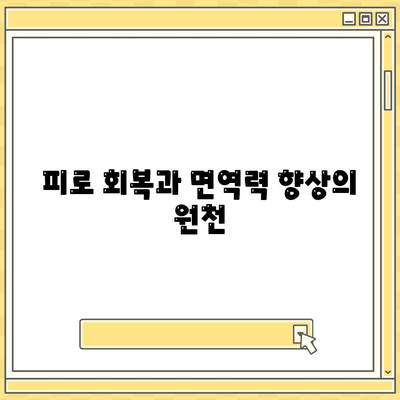 피로 회복과 면역력 향상의 원천