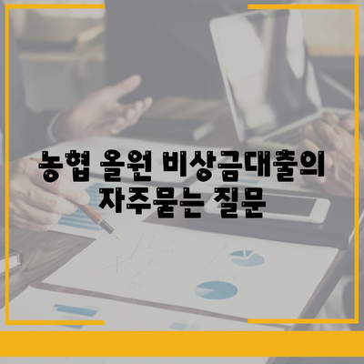 농협 올원 비상금대출