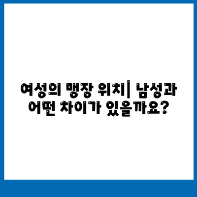 여자 맹장 위치