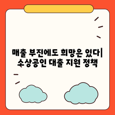 개인사업자 소상공인대출