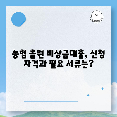 농협 올원 비상금대출