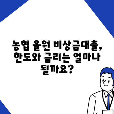 농협 올원 비상금대출