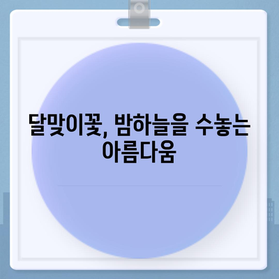 달맞이꽃