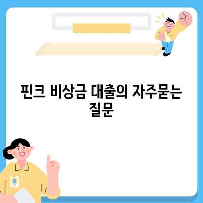 핀크 비상금 대출