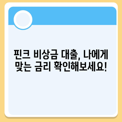 핀크 비상금 대출