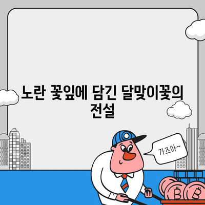 달맞이꽃