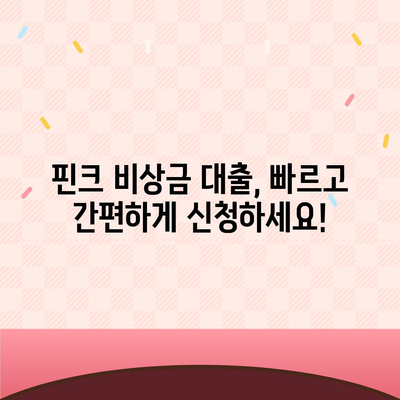 핀크 비상금 대출