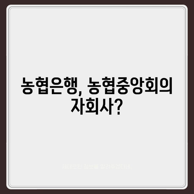 NH 농협중앙회 농협은행 다른점