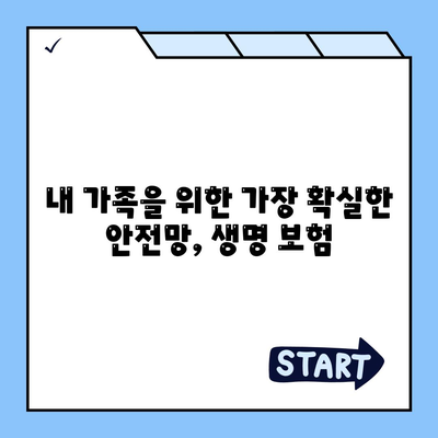 생명 보험