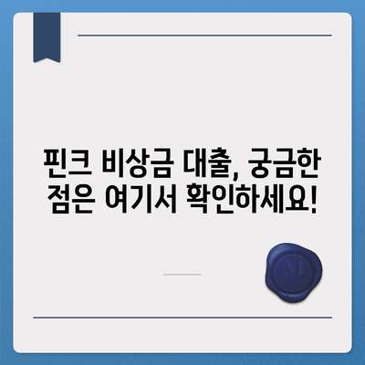 핀크 비상금 대출