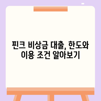 핀크 비상금 대출