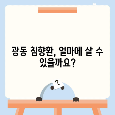 광동 침향환 가격