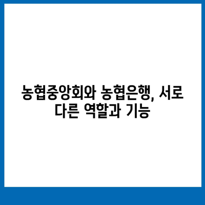 NH 농협중앙회 농협은행 다른점