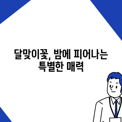 달맞이꽃