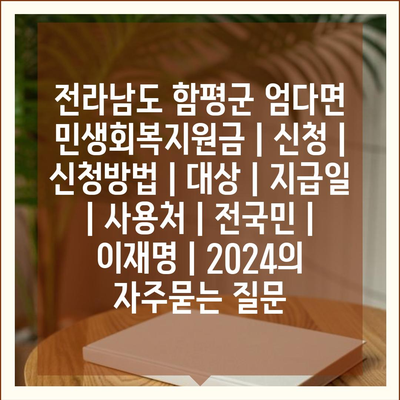 전라남도 함평군 엄다면 민생회복지원금 | 신청 | 신청방법 | 대상 | 지급일 | 사용처 | 전국민 | 이재명 | 2024