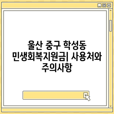 울산시 중구 학성동 민생회복지원금 | 신청 | 신청방법 | 대상 | 지급일 | 사용처 | 전국민 | 이재명 | 2024