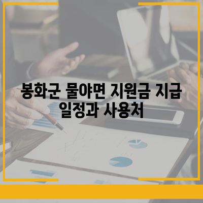 경상북도 봉화군 물야면 민생회복지원금 | 신청 | 신청방법 | 대상 | 지급일 | 사용처 | 전국민 | 이재명 | 2024