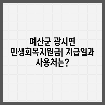 충청남도 예산군 광시면 민생회복지원금 | 신청 | 신청방법 | 대상 | 지급일 | 사용처 | 전국민 | 이재명 | 2024