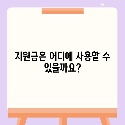 충청남도 부여군 남면 민생회복지원금 | 신청 | 신청방법 | 대상 | 지급일 | 사용처 | 전국민 | 이재명 | 2024