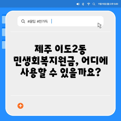 제주도 제주시 이도2동 민생회복지원금 | 신청 | 신청방법 | 대상 | 지급일 | 사용처 | 전국민 | 이재명 | 2024