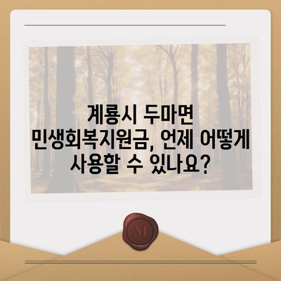 충청남도 계룡시 두마면 민생회복지원금 | 신청 | 신청방법 | 대상 | 지급일 | 사용처 | 전국민 | 이재명 | 2024