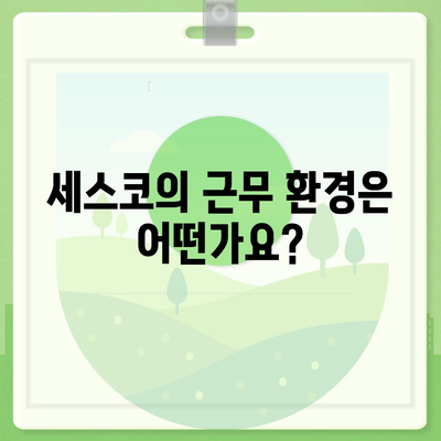 세스코 근무 후기