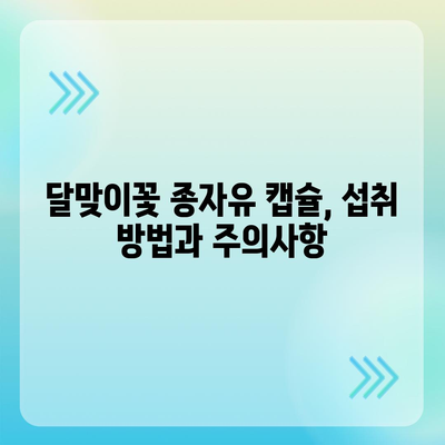 달맞이꽃 종자유 캡슐