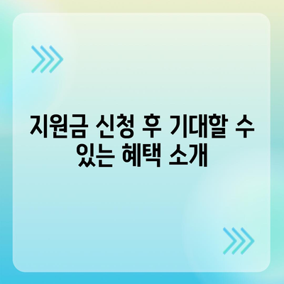 소상공인 희망대출 지원금 신청