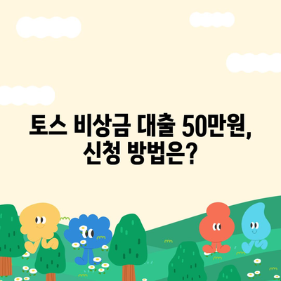 토스 비상금 대출 50만원