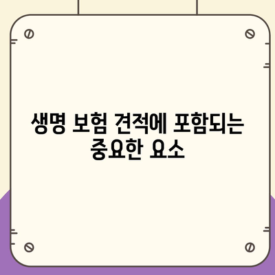 생명 보험 견적