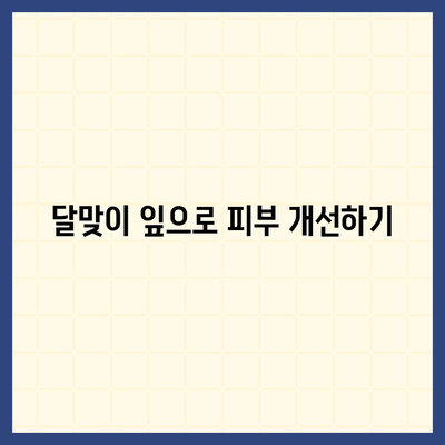 달맞이 잎 효능