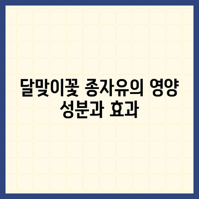 달맞이꽃 종자유 캡슐