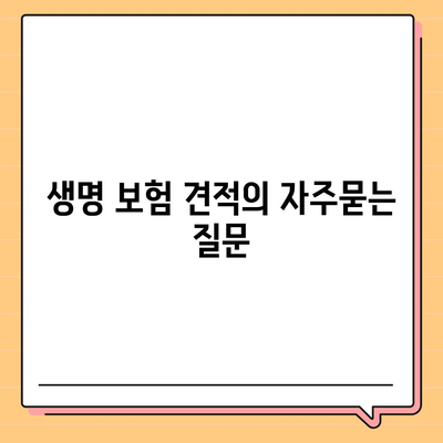 생명 보험 견적