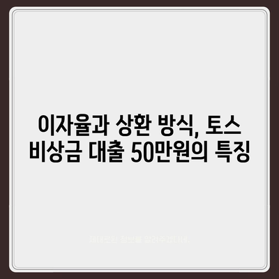 토스 비상금 대출 50만원