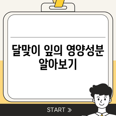 달맞이 잎 효능