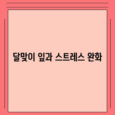 달맞이 잎 효능