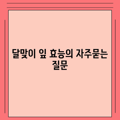 달맞이 잎 효능