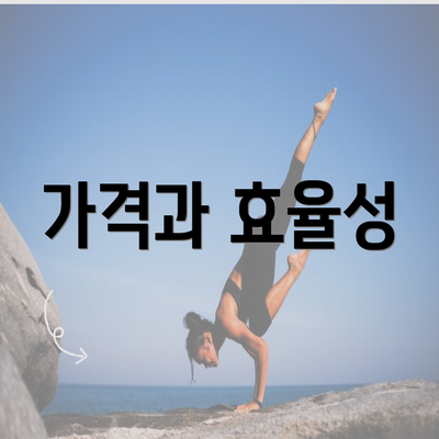 가격과 효율성