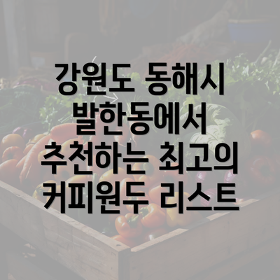 강원도 동해시 발한동에서 추천하는 최고의 커피원두 리스트