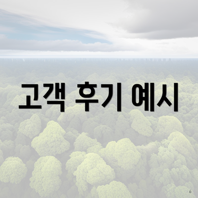 고객 후기 예시