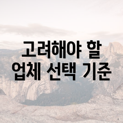 고려해야 할 업체 선택 기준