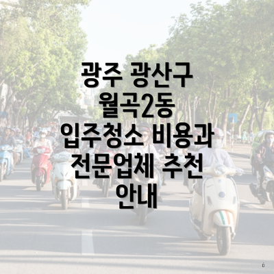 광주 광산구 월곡2동 입주청소 비용과 전문업체 추천 안내