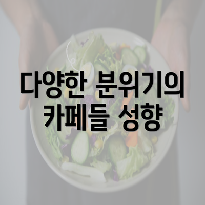 다양한 분위기의 카페들 성향