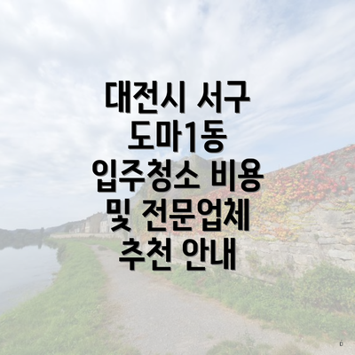 대전시 서구 도마1동 입주청소 비용 및 전문업체 추천 안내