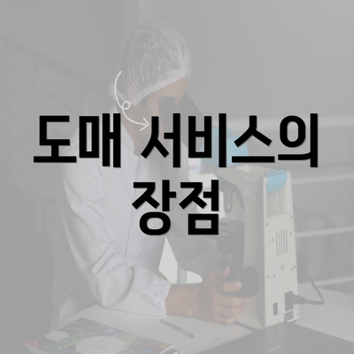 도매 서비스의 장점