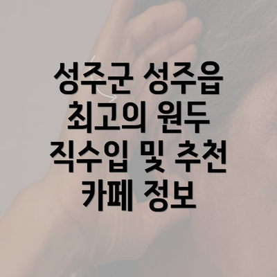 성주군 성주읍 최고의 원두 직수입 및 추천 카페 정보