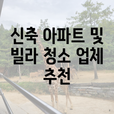 신축 아파트 및 빌라 청소 업체 추천